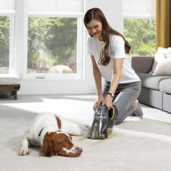 Pet Stain Eraser