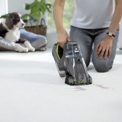 Pet Stain Eraser