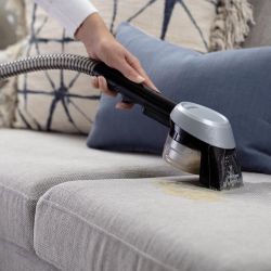 SpotClean Pet Plus