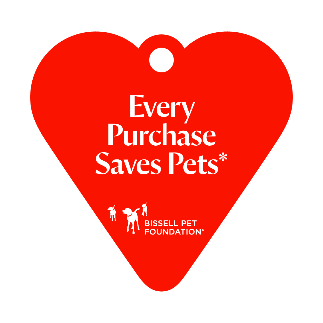 Pets foundation